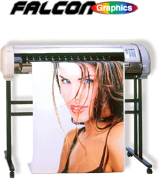 Широкоформатный принтер FALCON RJ-4000