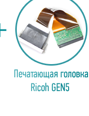 Печатающая головка Ricoh GEN5 