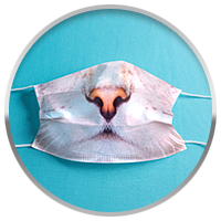 СУБЛИМАЦИОННЫЙ ТЕРМОПЕРЕНОС.