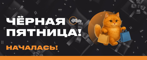 ЧЁРНАЯ ПЯТНИЦА НАЧАЛАСЬ!