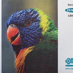 Фотообои ZENOWALL, текстура Кожа, на флизелиновой основе, 250 г/м², 1.33 х 50 м