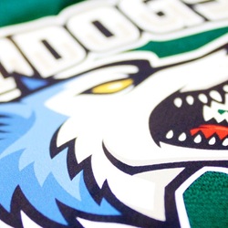 Термопленка для печати POLI-TAPE, серия POLI-FLEX 4037 TURBOPRINT UV, белый, 100мкм, 0.50 х 25 м