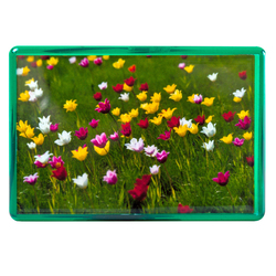 Магнит акриловый самозакатный, прямоугол. (80 x 55 мм), вставка 74 x 49 мм, зеленый, заготовка