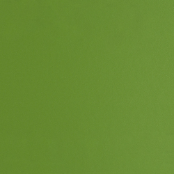 Плёнка мономерная GRAFIX, серия Color, лиственно-зелёная, матовая, 1.22 x 50 м, CV1056M