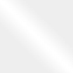 Термопленка ECONOFLEX, серия HOLOGRAM, OSH313 - прозрачный, 100 мкм, 0.49 х 25 м