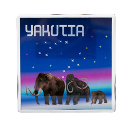 Магнит акриловый самозакатный, квадратный (100 x 100) мм, вставка 90 x 90 мм, заготовка