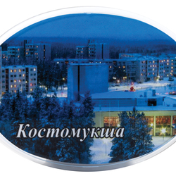 Магнит акриловый самозакатный, овальный (86 x 62 мм), вставка 82 x 58 мм, заготовка