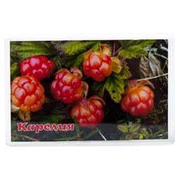 Магнит акриловый самозакатный, прямоугольный (105 x 70 мм), вставка 97 x 62 мм, заготовка