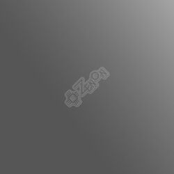 Термопленка ECONOFLEX, серия HOLOGRAM, EFH312 - зеркальное серебро, 100 мкм, 0.50 х 25 м