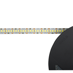 Светодиодная лента Infinilite 12 В, IP20, 240 SMD 2835, 2000 лм, 22 Вт/м, ширина подложки 10 мм, катушка 5 м, белая 7000-8000 K, Ra≥80